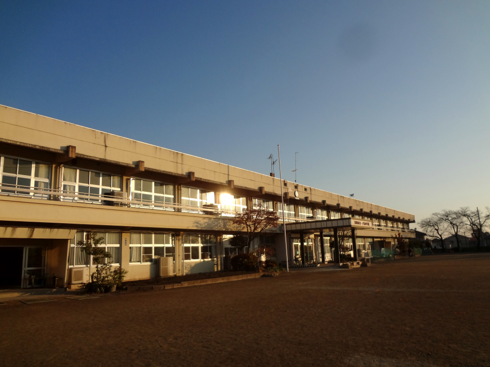 �ٲ���Ω��εܾ��ع���������ǯ����